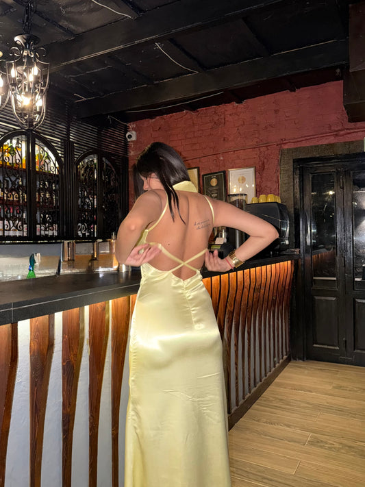 So Vain Dress